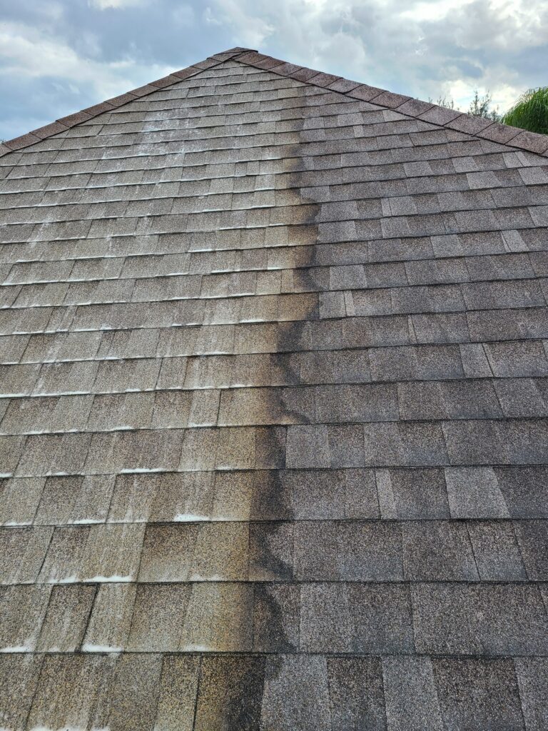 Roof Washing project 1
